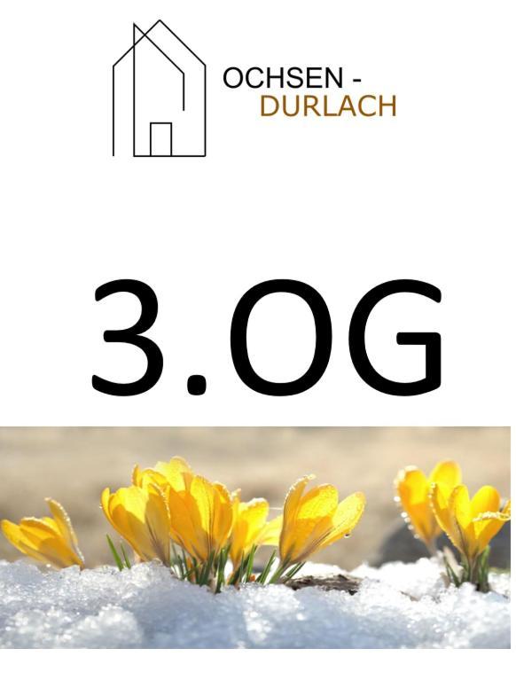 Ochsen-Durlach كارلسروه الغرفة الصورة