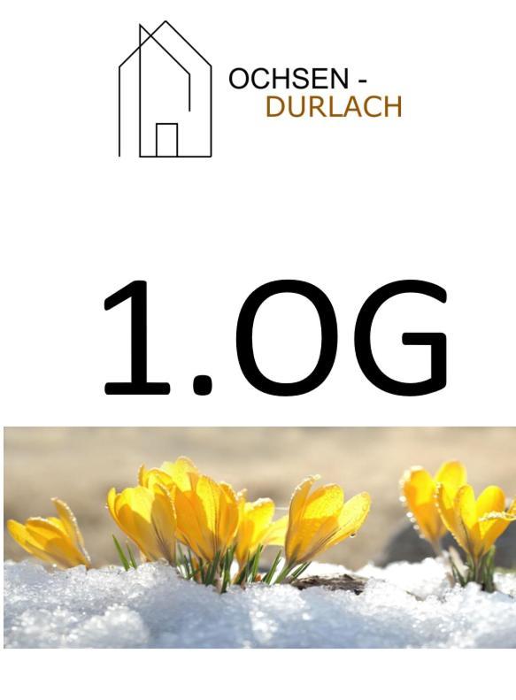 Ochsen-Durlach كارلسروه المظهر الخارجي الصورة